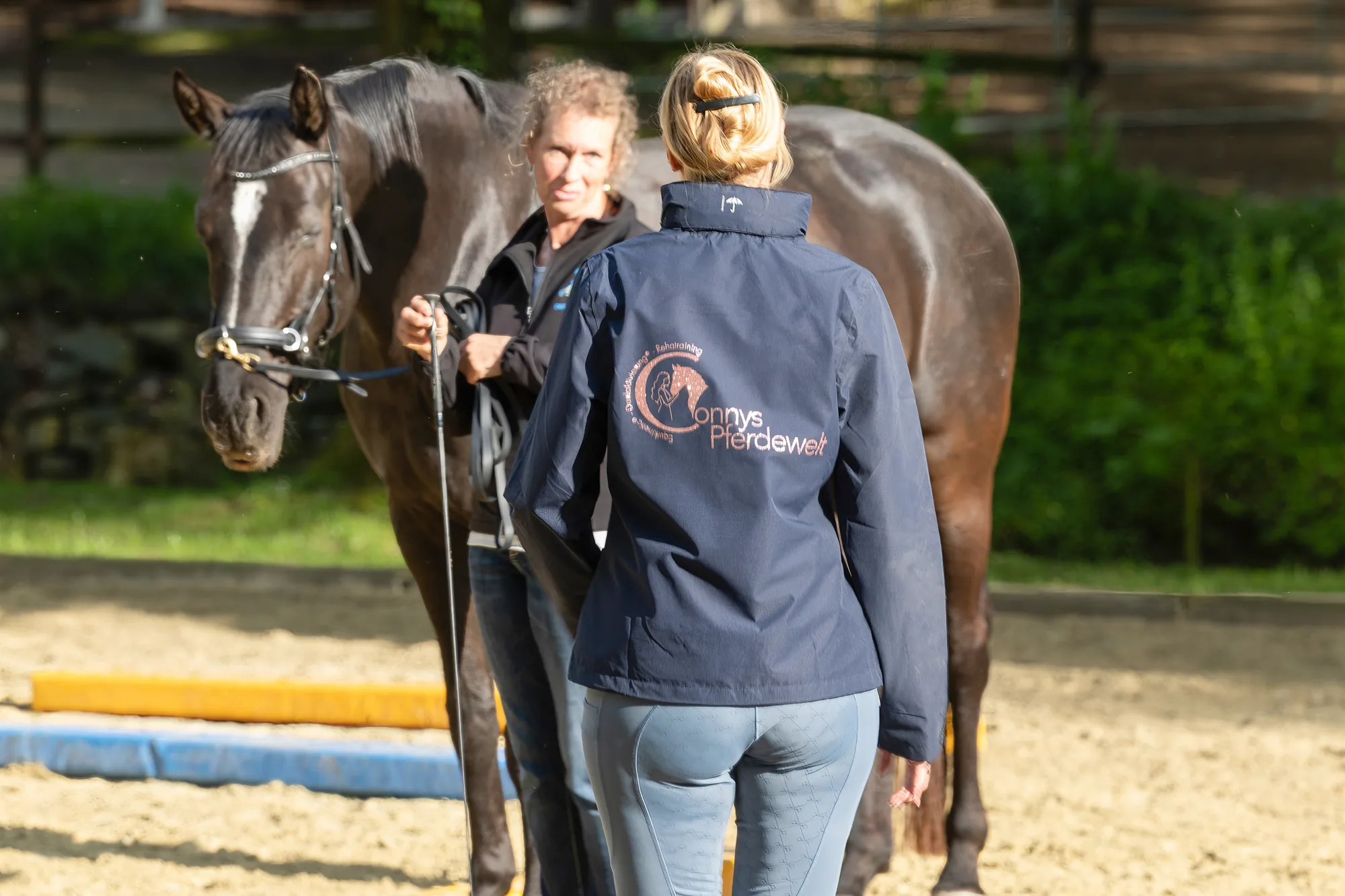 Training auf dem Reitplatz mit Pferd und Mensch