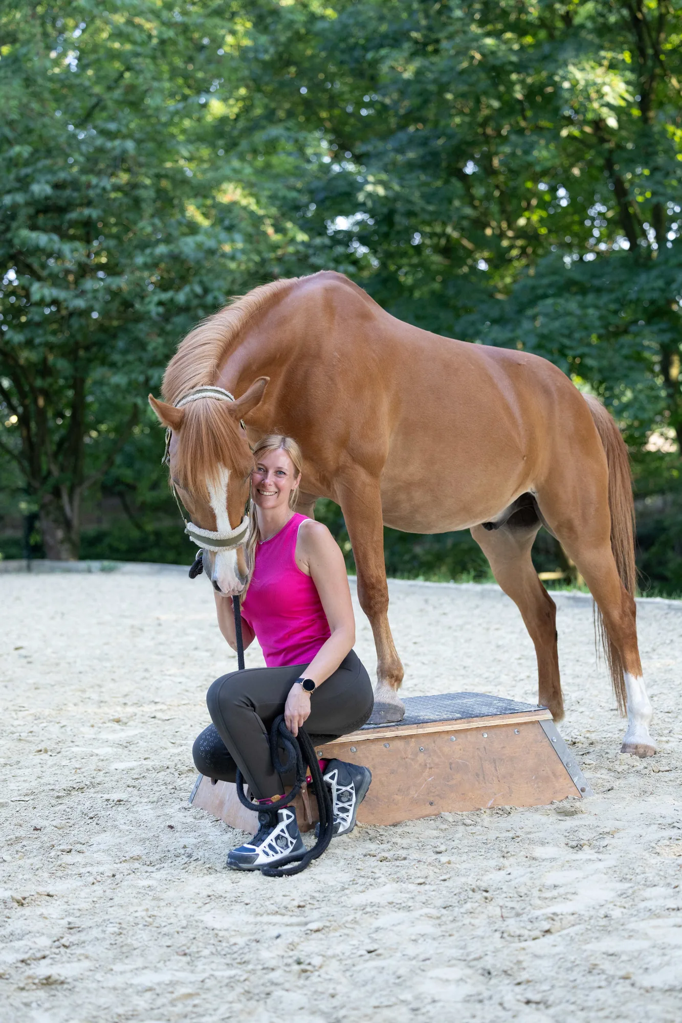 Ruhiges Training mit Pferd auf einem Reitplatz