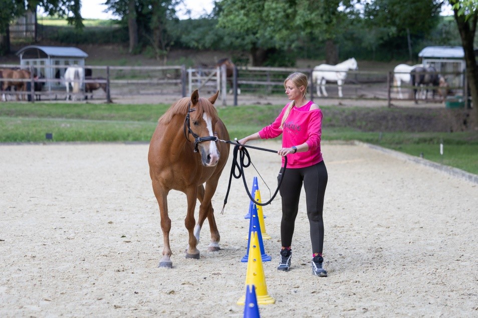 Geitnertraining 2